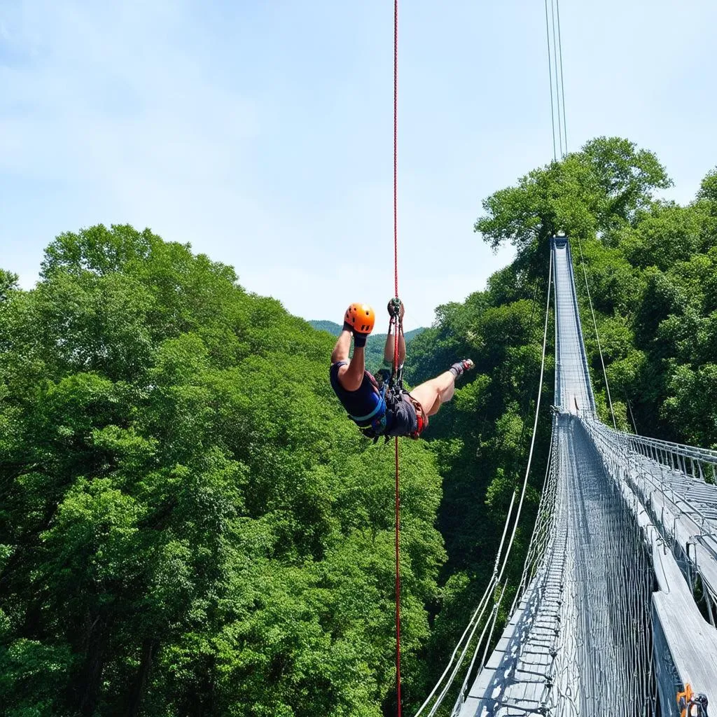 Nhảy bungee từ cây cầu cao