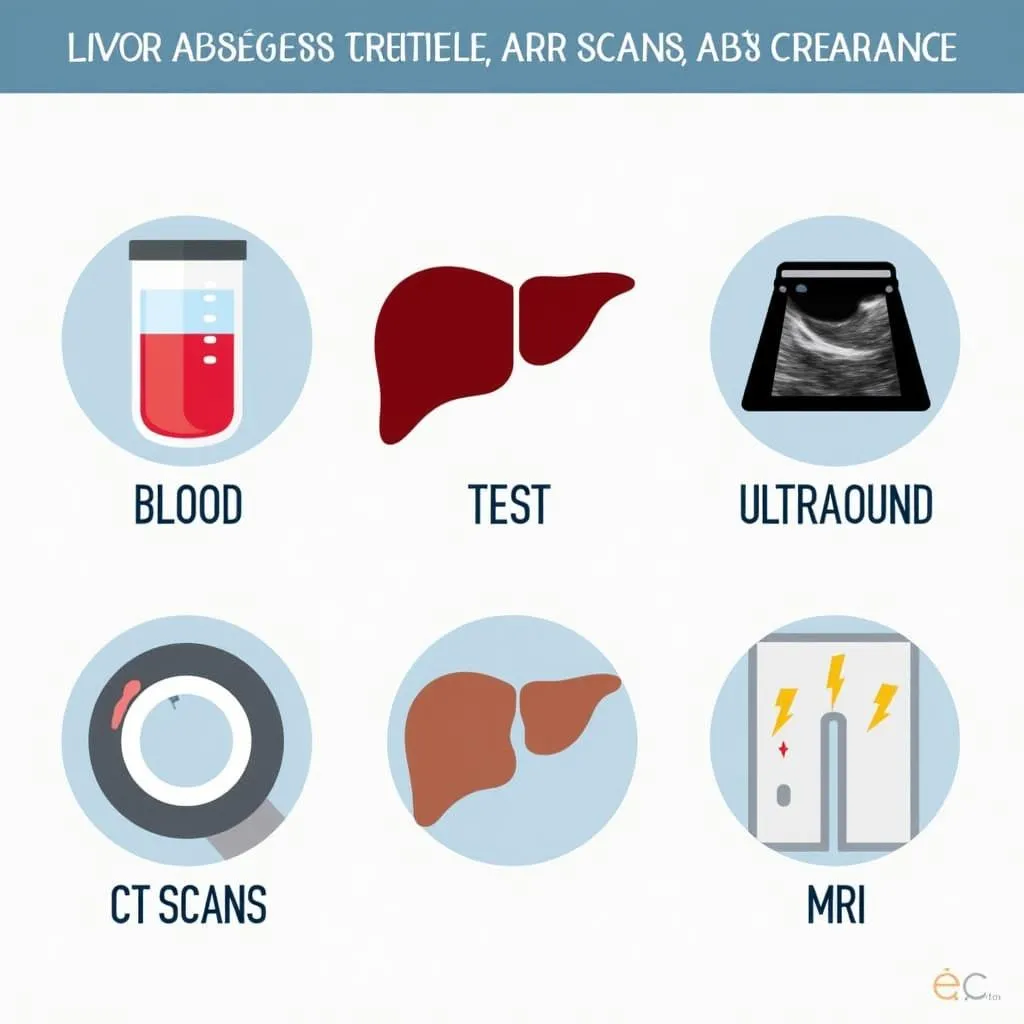 Hình ảnh minh họa các phương pháp chẩn đoán áp xe gan