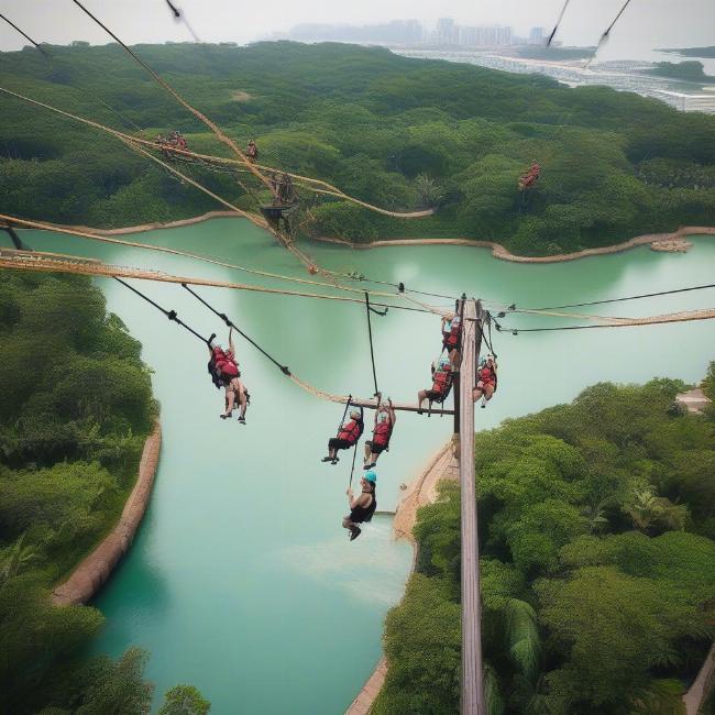 Trải nghiệm zipline tại MegaZip Adventure Park Singapore