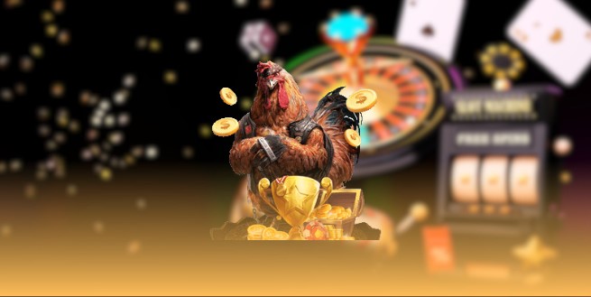 Top 5 nhà cái đá gà trực tuyến uy tín nhất 2025: Lựa chọn chất lượng cho cược thủ đam mê kê chiến