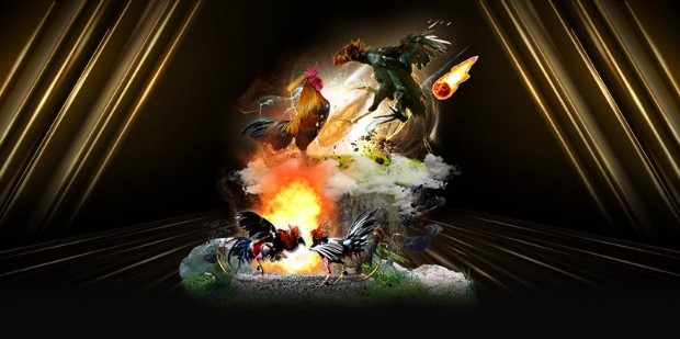 Giao diện cược chọi gà thân thiện